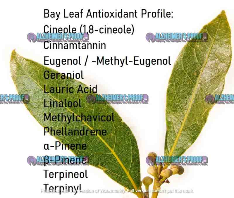 16 Antioxidant Herbs for Alzheimer's on Your Spice Rack - Alzheimer's Proof